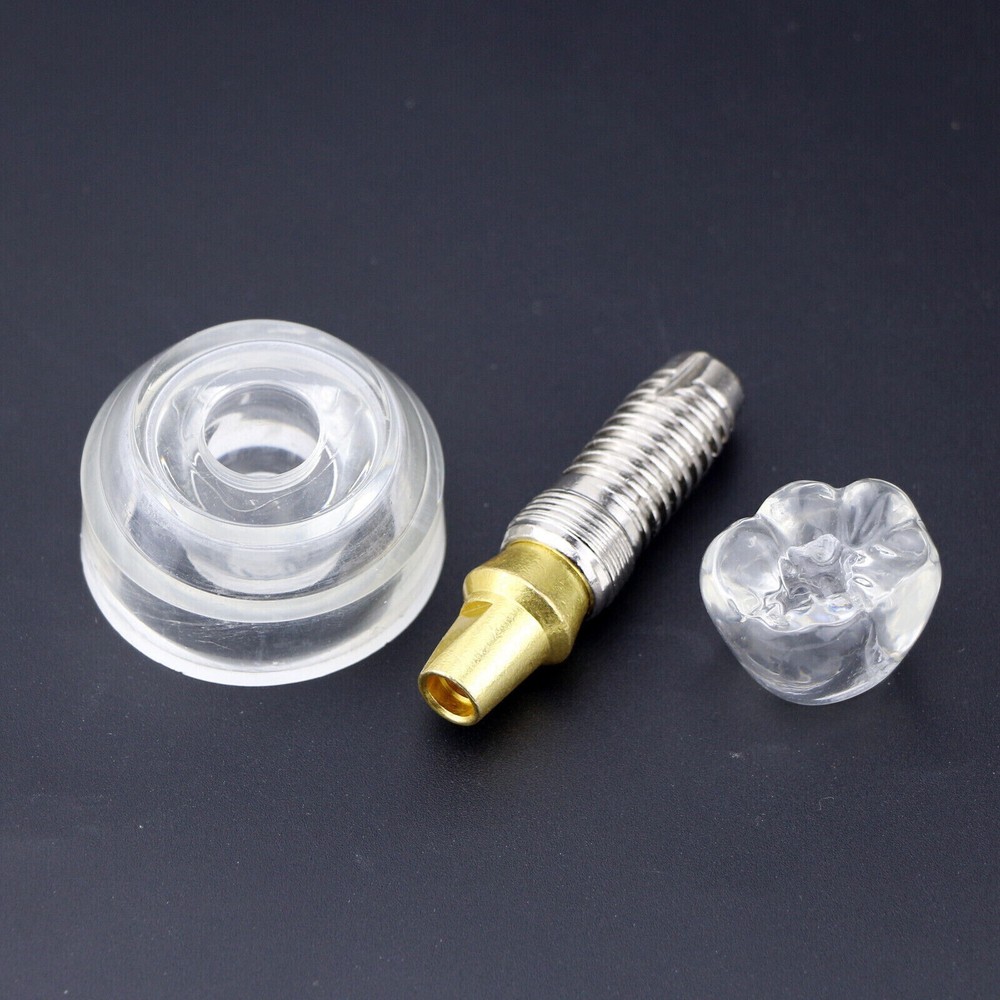 Dental Teaching Detachable Study Crown Implant Demonstration Teach Model #2020