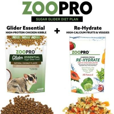 Exotic Nutrition Starter Package For Sugar Gliders High Protien