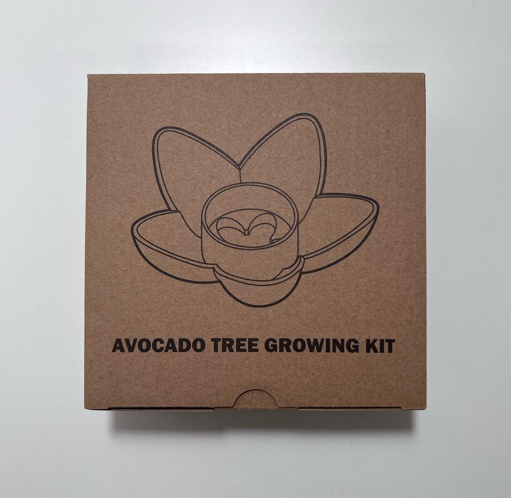 avocado tree growing kit