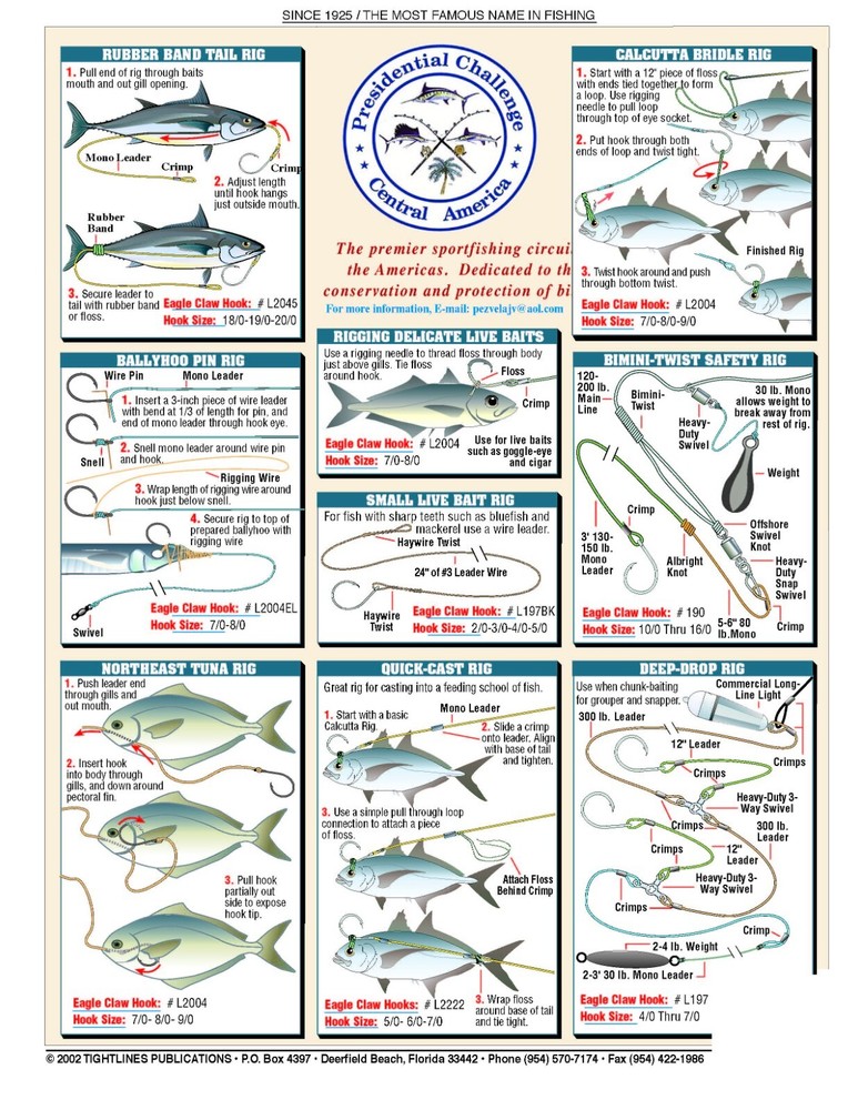 Saltwater Bait Rigging #6 (Circle-Hook Rigs)- Reference Guide