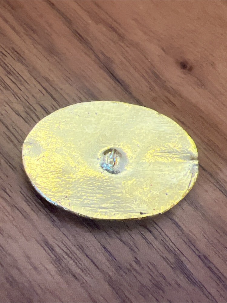 Large Button Vintage Cold Plastic Enamel Finish Floral
