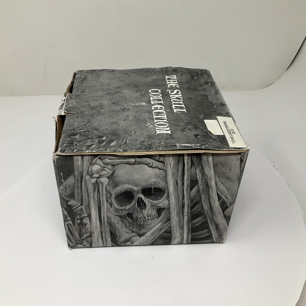 Summit Translucent Skull Head Collectible 2007 Heavy Solid Decoartion 6"
