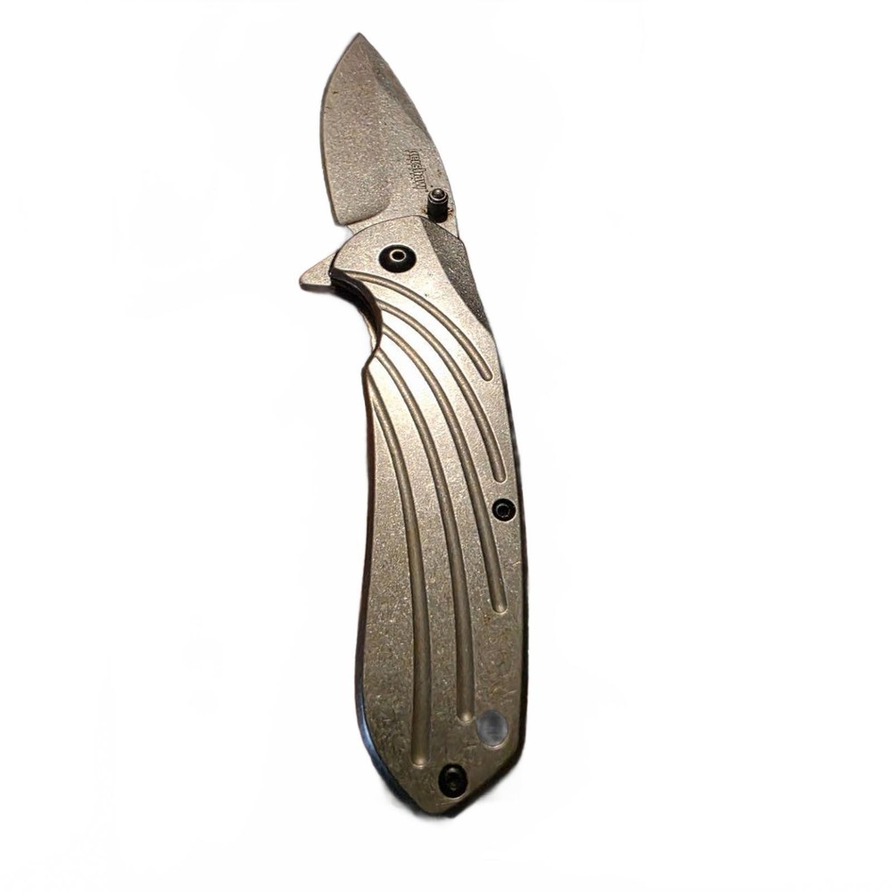 Kershaw 6173 Folding Knife Silver