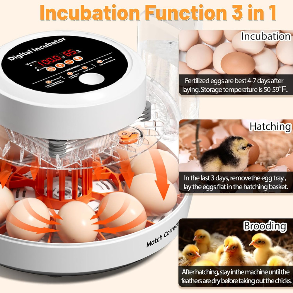 12 Egg Incubator for Hatching Eggs with Automatic Egg Turning, Temperature & Hum