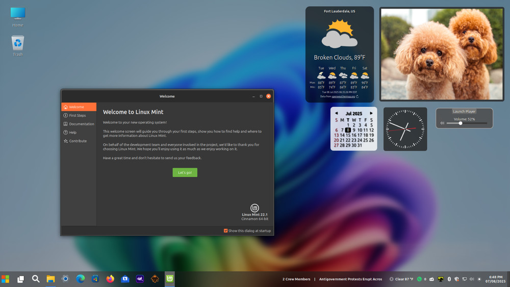 Linux Mint 22.1 Ultimate Upgrade for Microsoft Windows 10 (VM Included) #10
