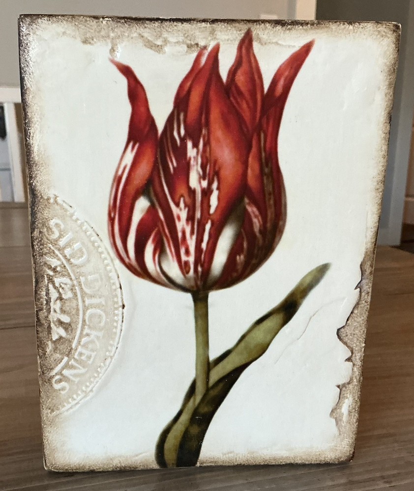 Sid Dickens Scarlet Memory Block T-98
