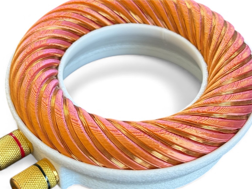 Rodin coil Scalar Wave toroidal field generator module