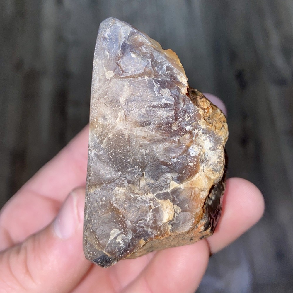 Petrified Wood Polished Specimen 9.10 Oz