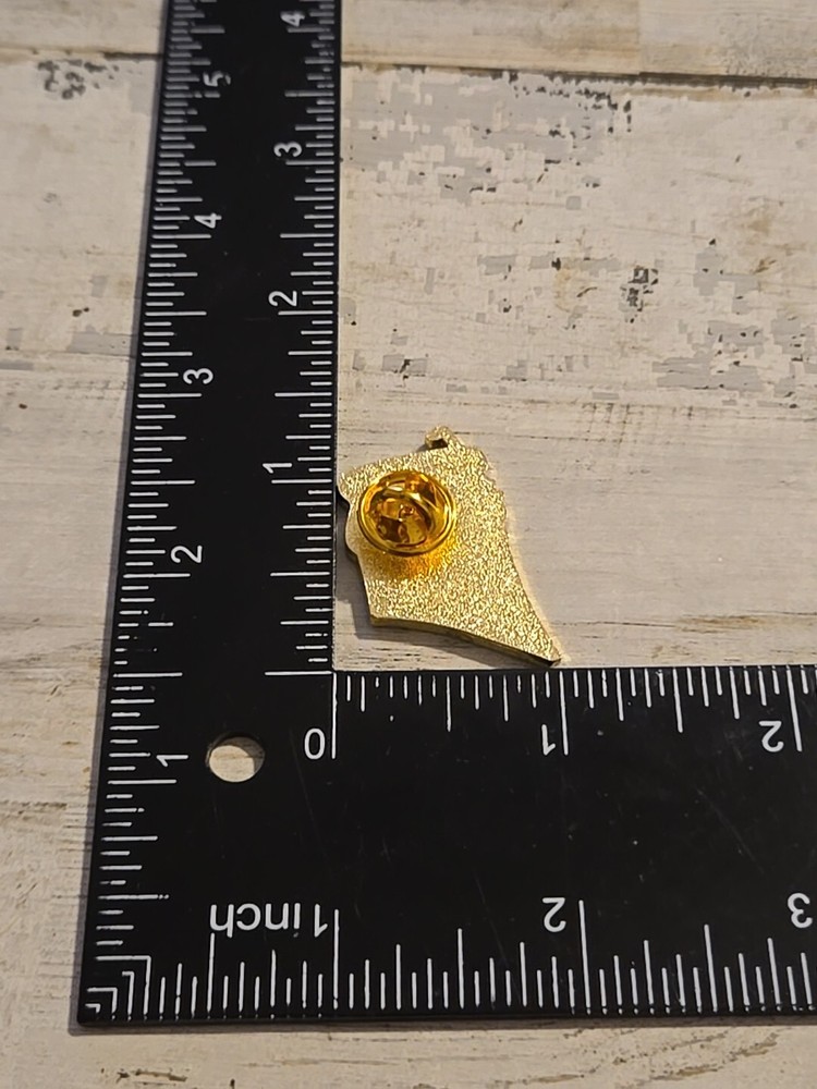 Special Olympics 2018 Golf Seattle lapel pin Q2