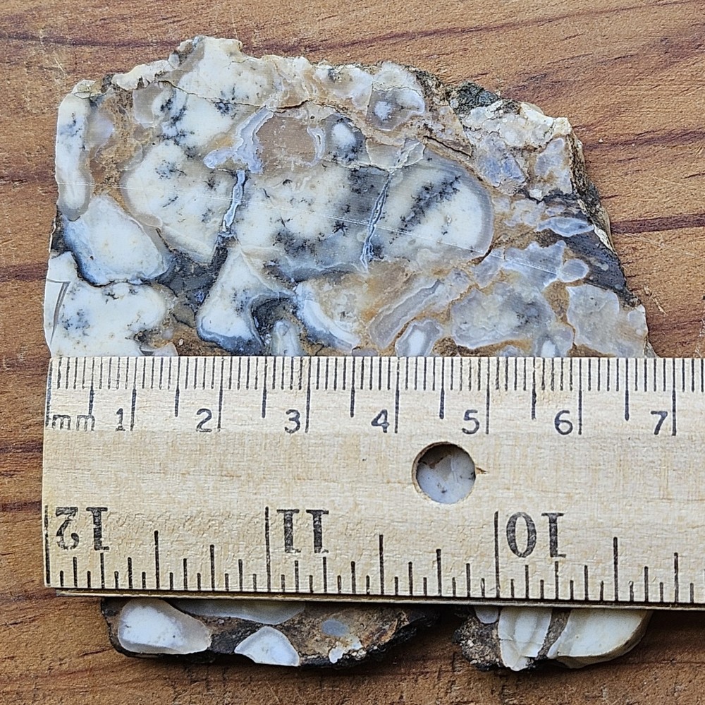 Common Opal With Dendrites Lapidary Slab 64 Grams