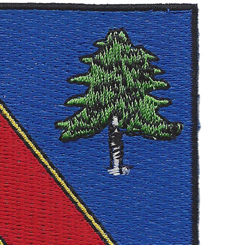 220th Infantry Regiment Patch