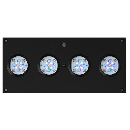 AI Hydra 64 HD LED Module - Black