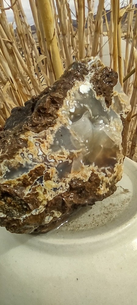 Agate Specimen In Rhyolite Chunky