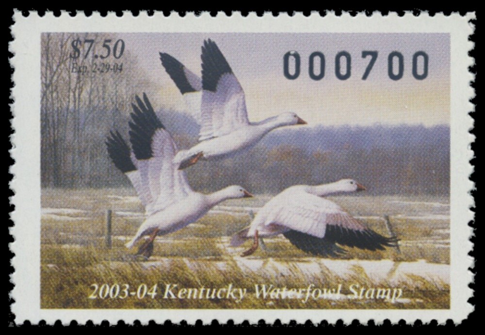 2003  Kentucky State Duck Stamp Mint Never Hinged. Original Gum