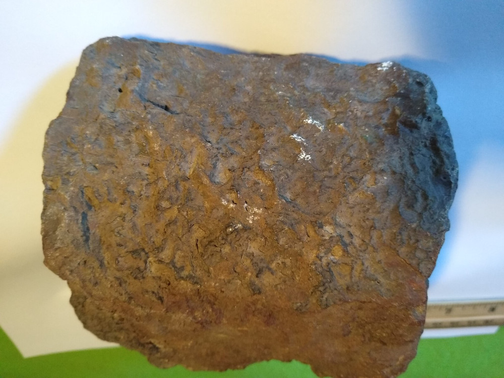 Jasper Replacement Petrified Wood- Over 3-1/4 lbs.