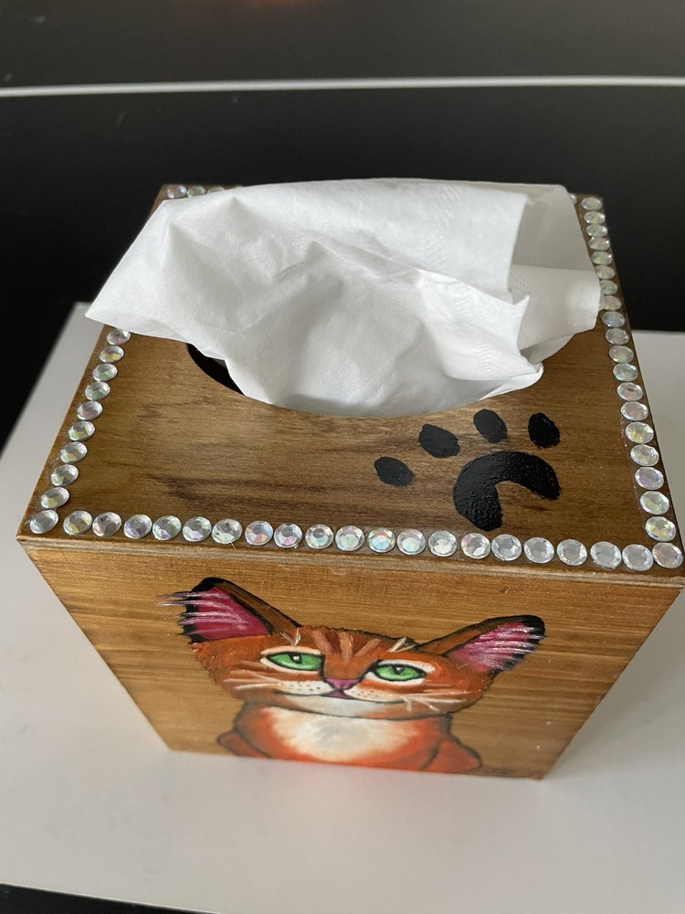 Hand Painted Tissue Box Holder Solid Wood cute orange tabby cat Decor