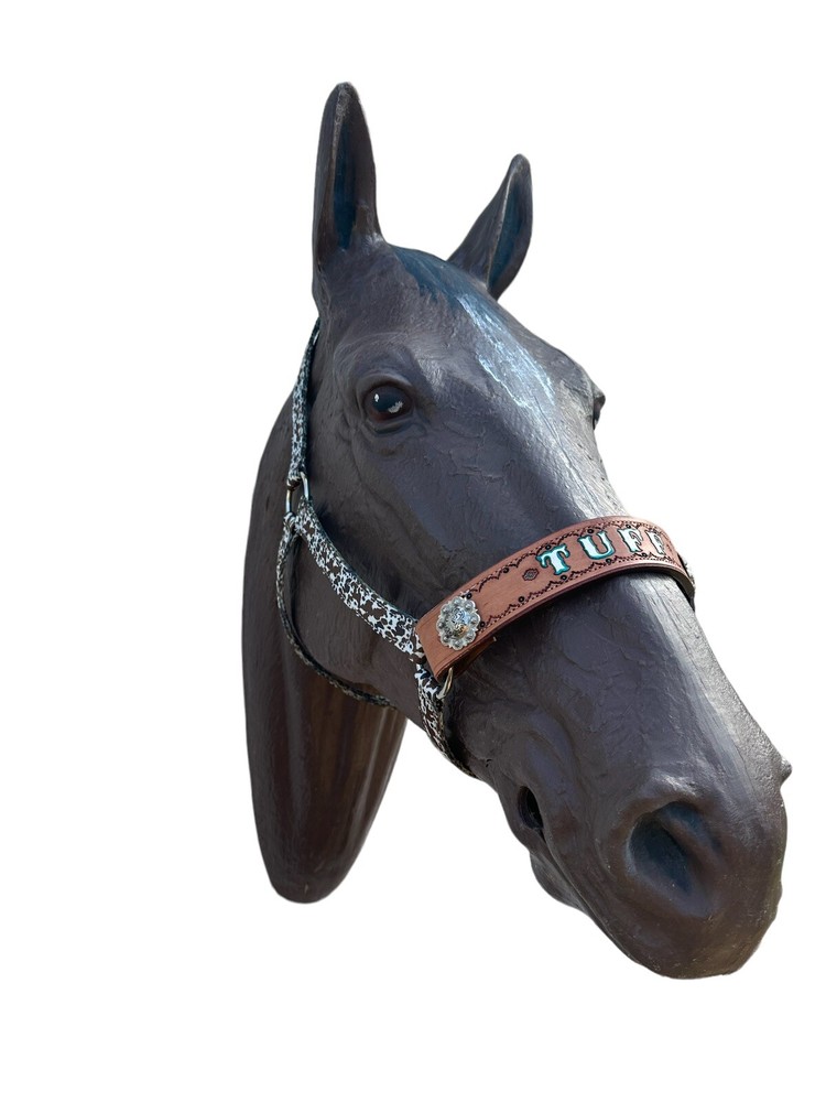 Personalized Nylon Horse Halter
