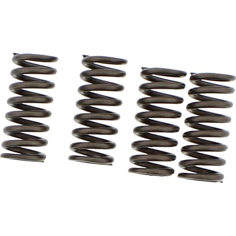 EBC CSK Clutch Spring Kit - CSK174