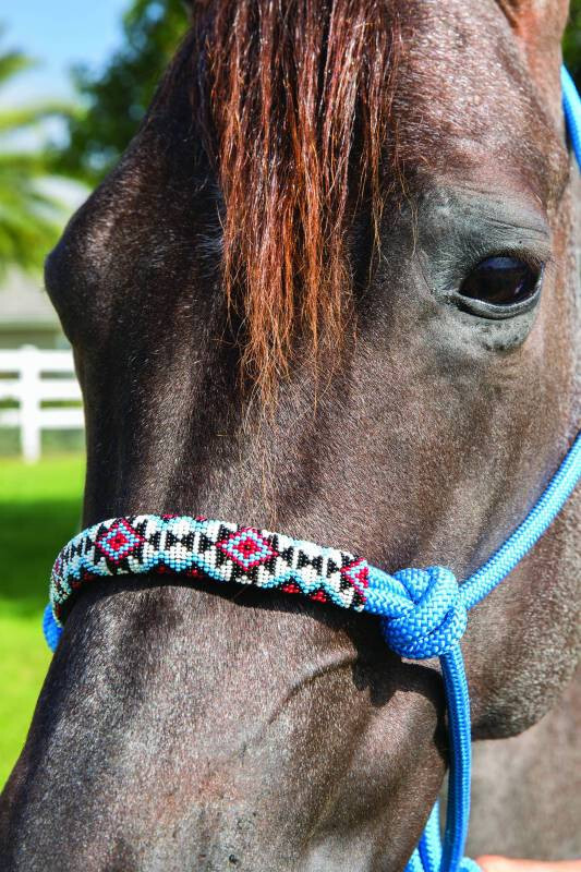 Professional's Choice Beaded Rope Halter - Turquoise