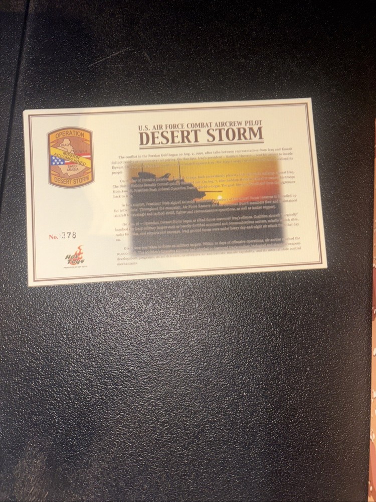 Operation Desert Storm US Air Force Combat Aircrew Pilot