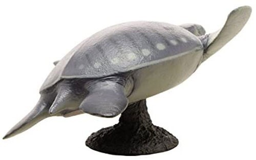 Archelon Soft Model Figure Prehistoric Life Favorite