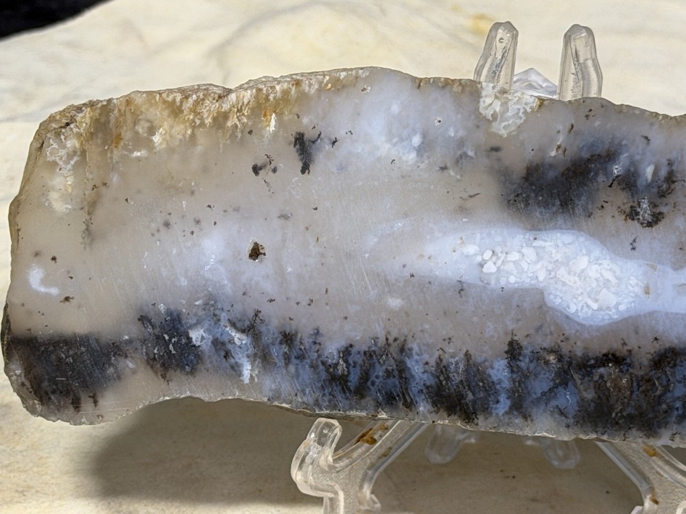 Snake River Dendritic Agate Slab, Lot #298