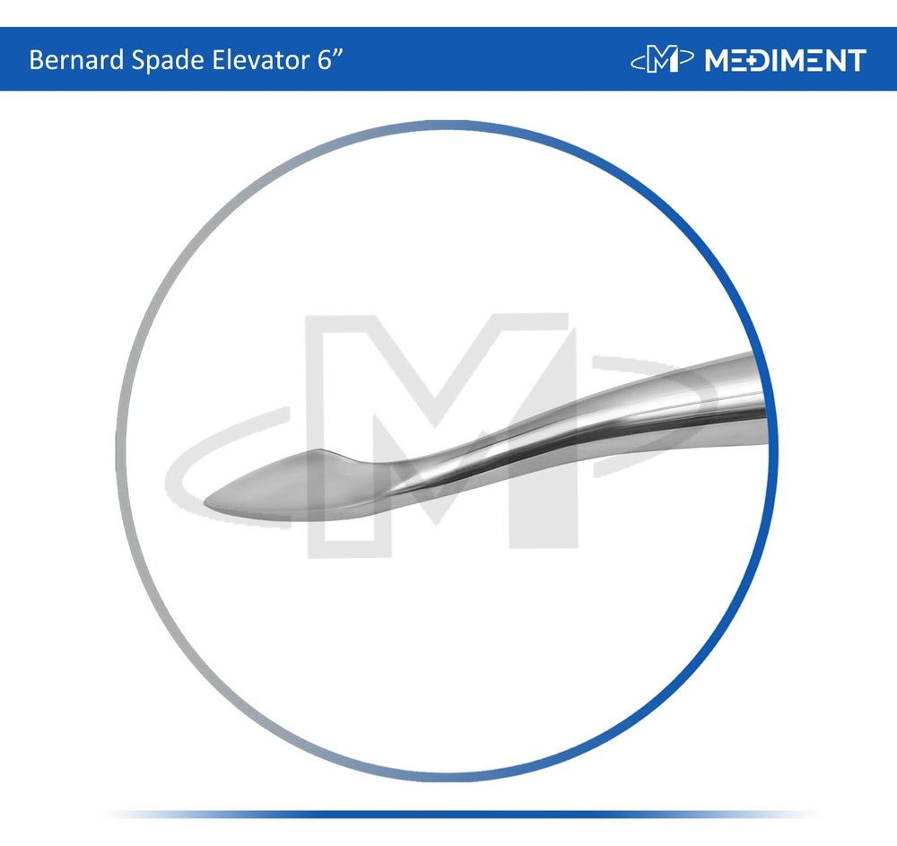 Dental Surgery Elevator Bernard Spade 6'' Length Root Extraction, Teeth Luxating