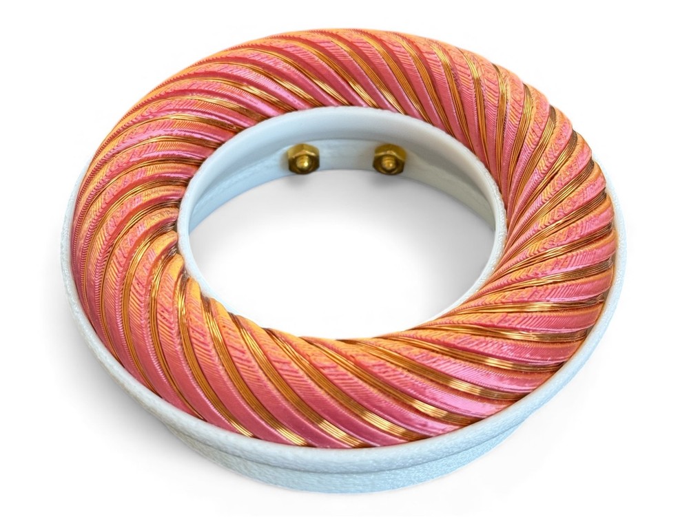 Rodin coil Scalar Wave toroidal field generator module