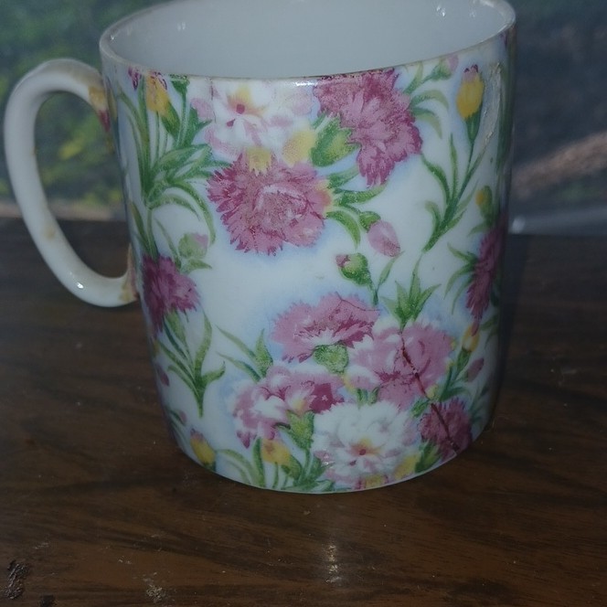 Floral Pattern Painted Ceramic & Porcelain Coffee Mug Model 043