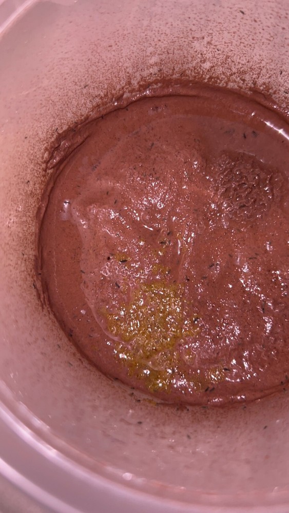 25 Green aquatic springtails *FEEDER INSECTS*