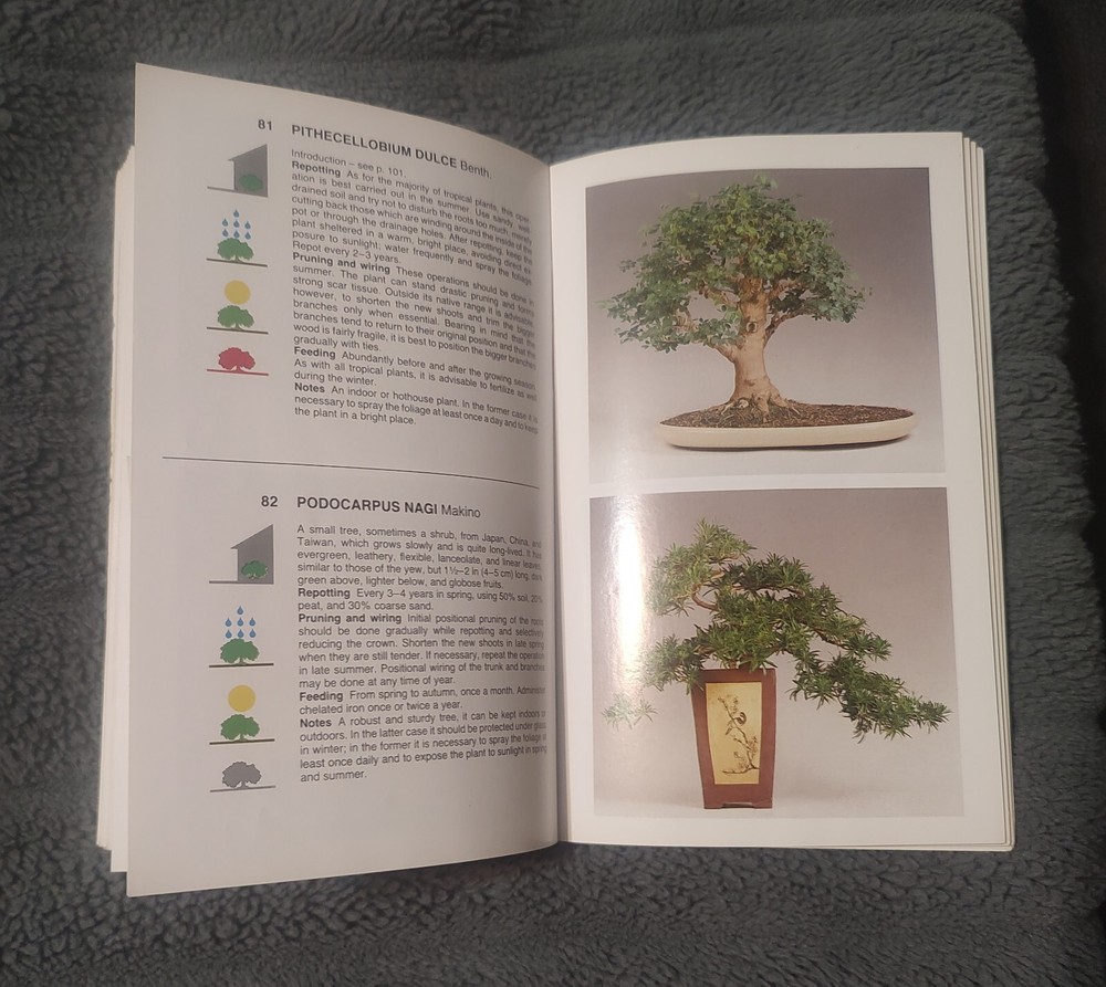 SIMON & SCHUSTER'S GUIDE TO BONSAI
