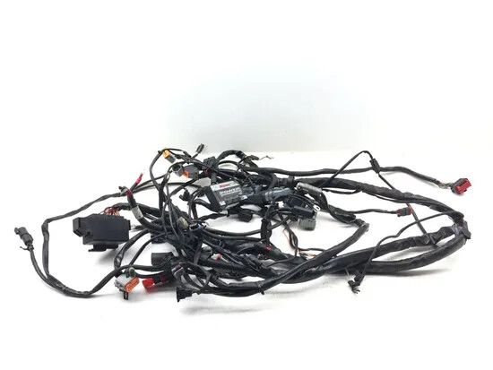 Main Engine Wiring Harness 2004 Harley-Davidson Electra Glide EFI FLHTI 3199
