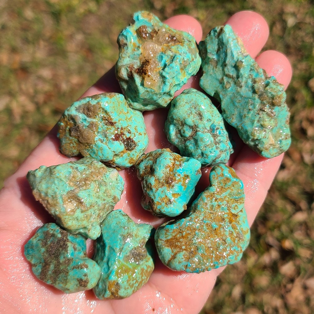STABILIZED CAMPITOS TURQUOISE ROUGH MEXICO 126.0 GRAMS
