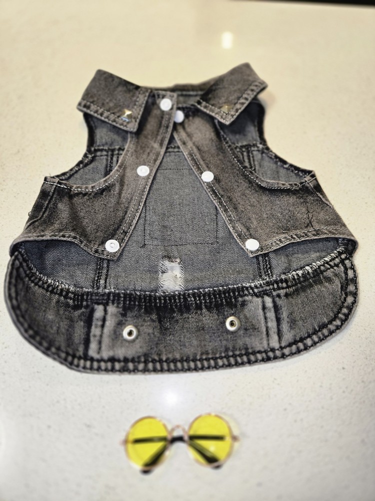 Dog Wear