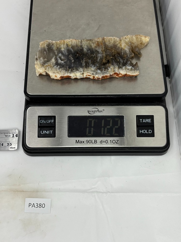 Plume Agate slab Cabbing Lapidary Combo Ship Avail Oregon