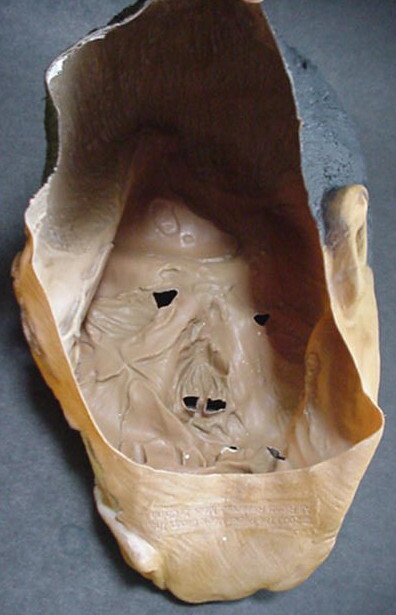 Zombie Monster Halloween Mask