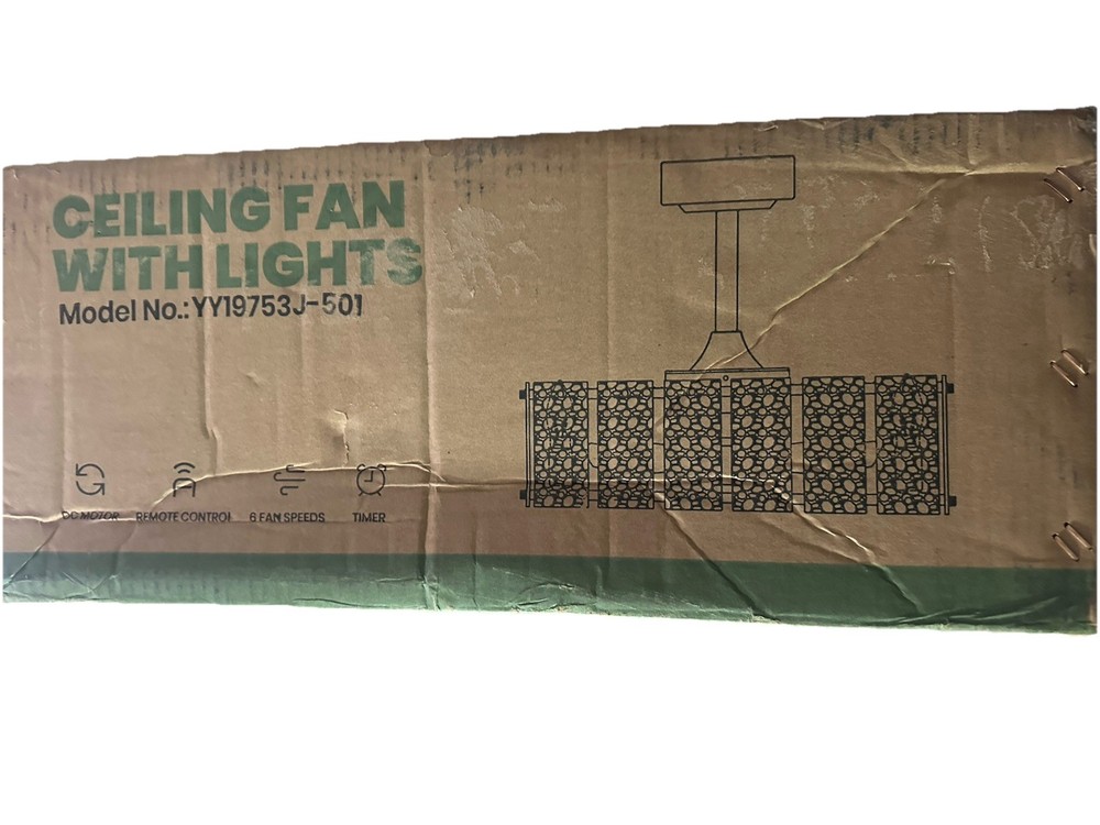 Ceiling Fan with Lights YY19753J-501