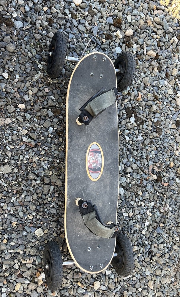 MBS Comp 95 Birds Mountainboard esk8 Landboard **deck delam**