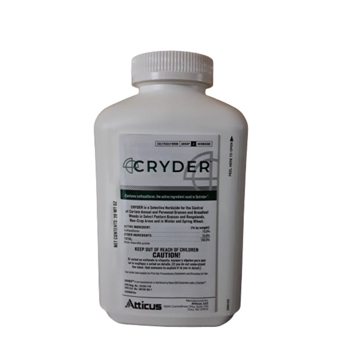 Cryder 20oz