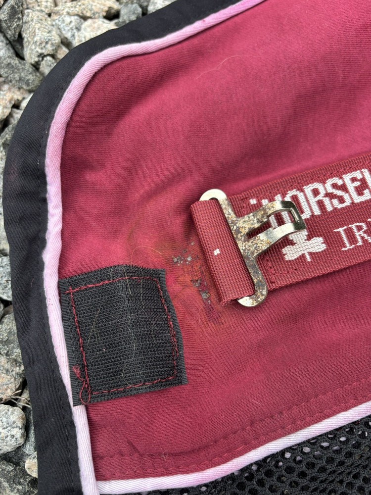 84” Rambo Sport Cooler - USED!