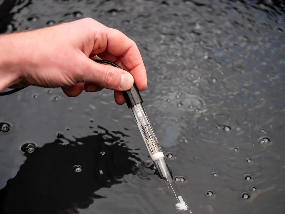 Bluelab pH Probe 5M