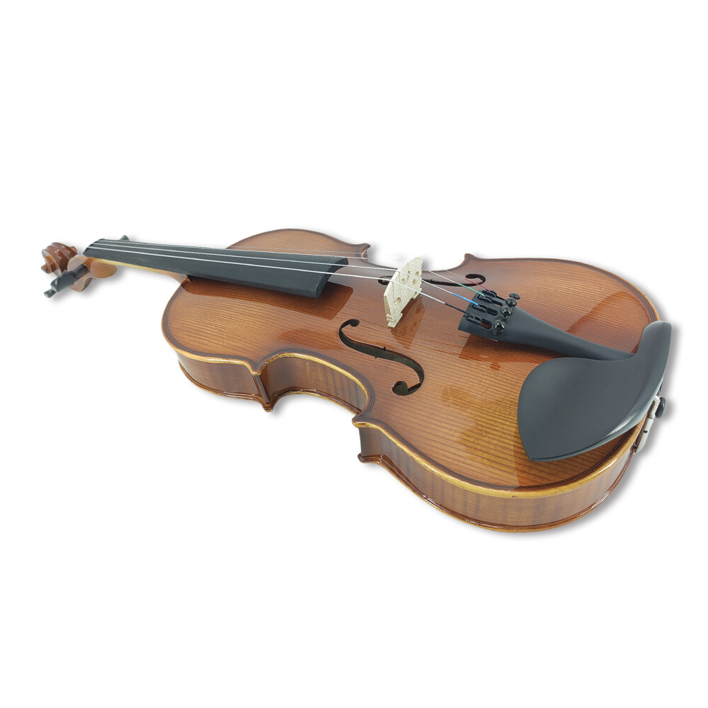 4 String 4/4 Violin Solid Wood Ebony Fittings Accessory Professional Lerners