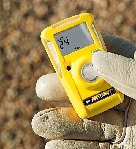 BW Technologies BWC2