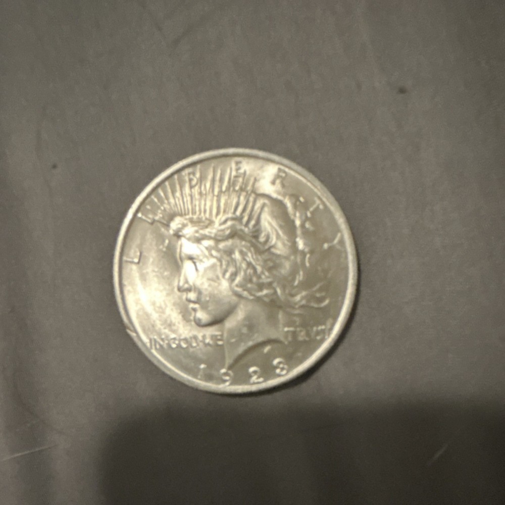 1923 Peace Silver Dollar Eagle Perched Lady Liberty Coin