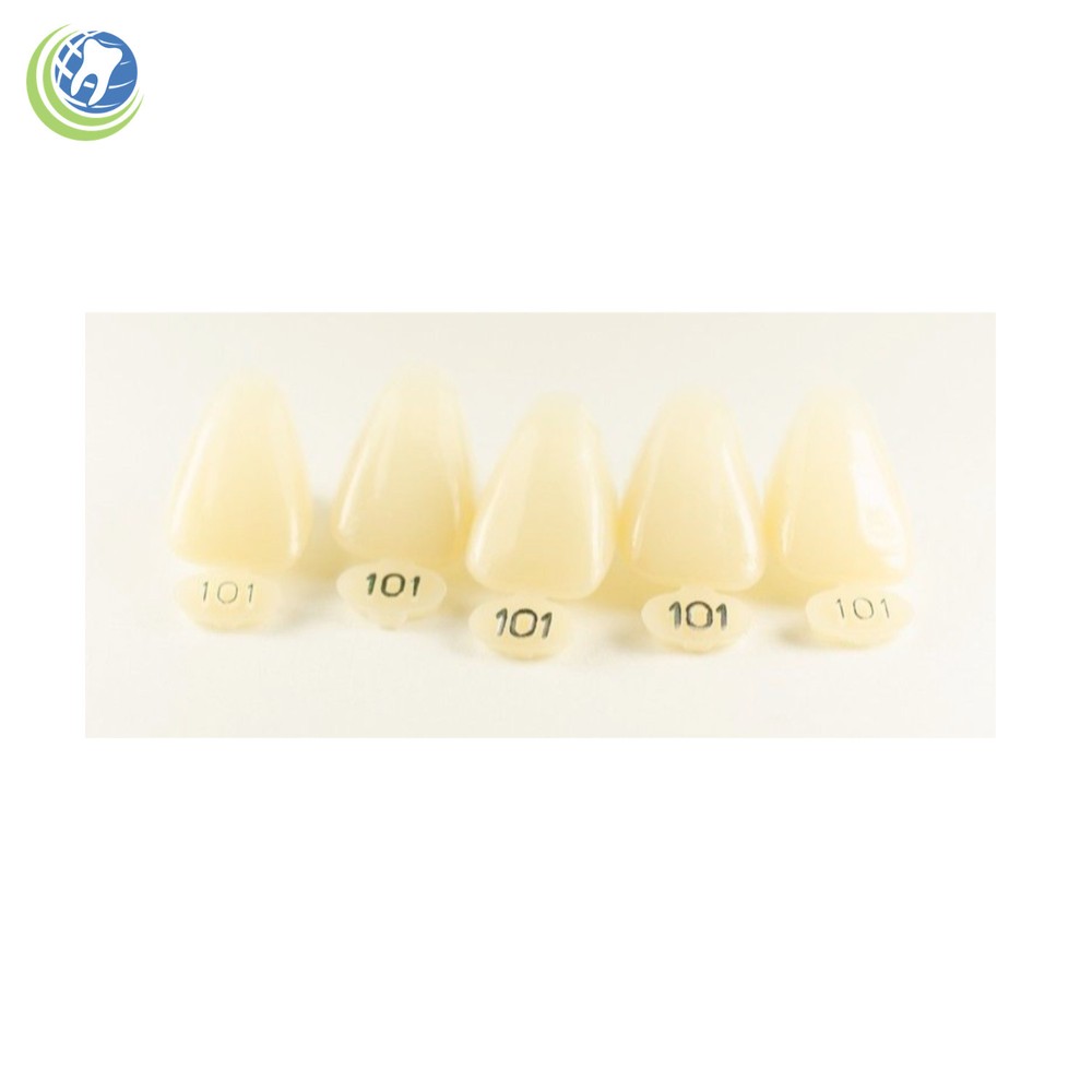DENTAL POLYCARBONATE TEMPORARY CROWNS #101 (URC) UPPER RIGHT CENTRAL 5/PACK