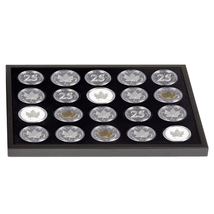 Morgan Silver Dollar Collection Presentation Box Gift Case + Extra Coin Tray