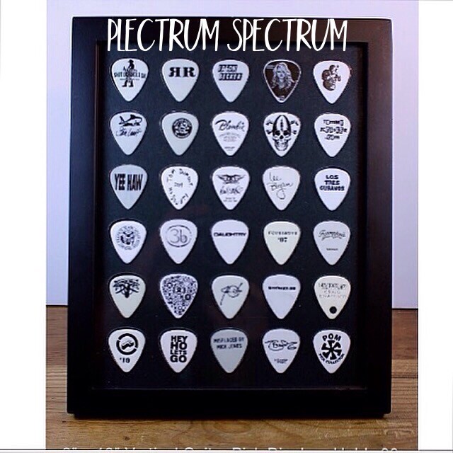 Guitar Pick Display Insert,  8 x 10 Vertical Black, Holds 30 Picks - NO FRAME