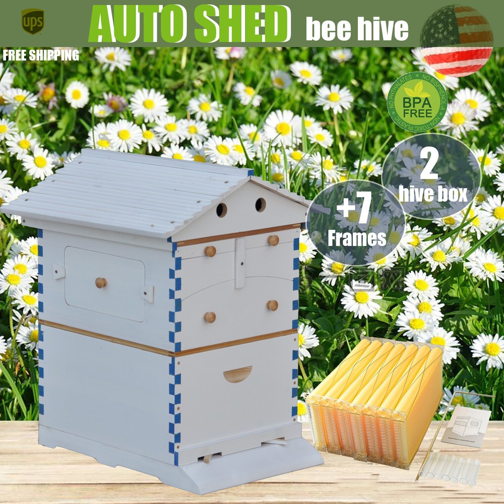 Big Auto Seep Beehive Honey Bee Hive Box Beekeeping Boxes + 7xPlastic Bee Frames