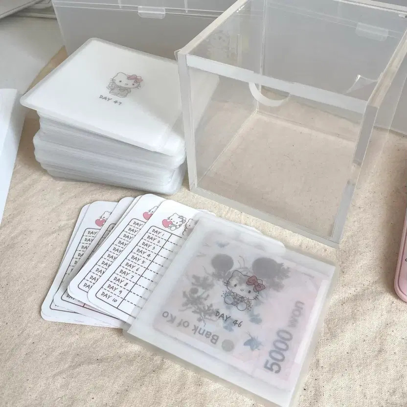 Kitty 100-Day Savings Challenge + Saving Box