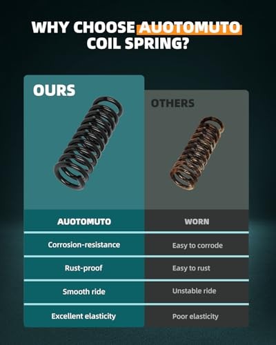 2PCS Rear Suspension Coil Spring Set Compatible with 2006-2010 for Dodge